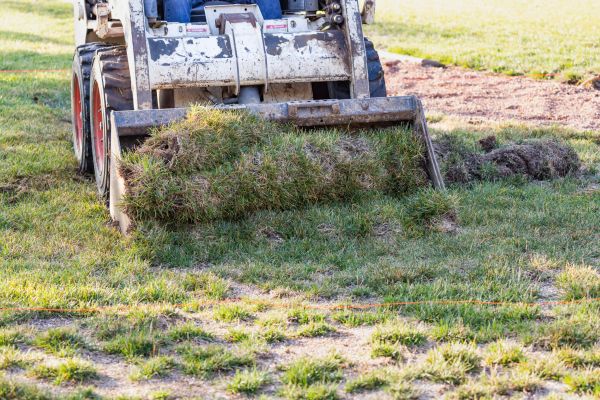Landscape Leveling in Navarre