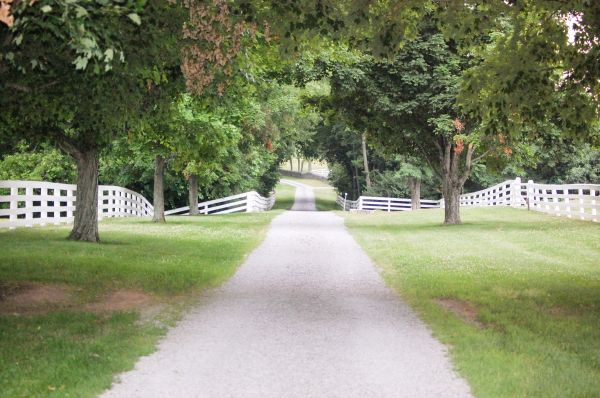 Cost of Gravel Road Installation in Navarre