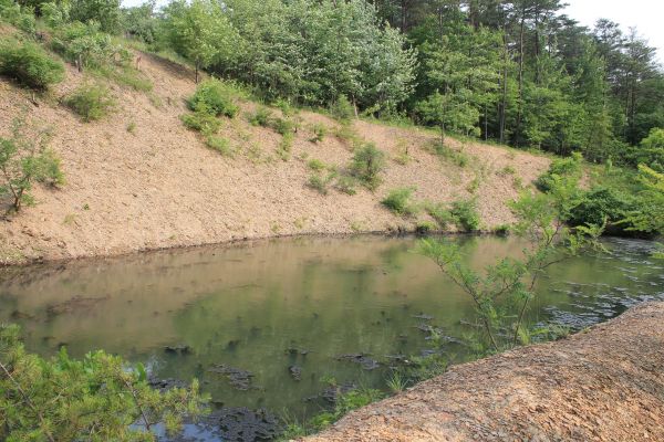 Pond Erosion Repair in Navarre